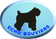 ECHO BOUVIERS